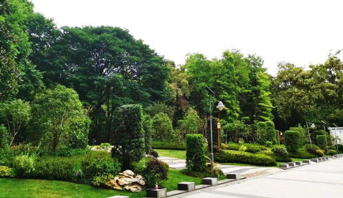 喜訊！人文園林榮獲2020年杭州市優秀園林綠化工程兩項金獎